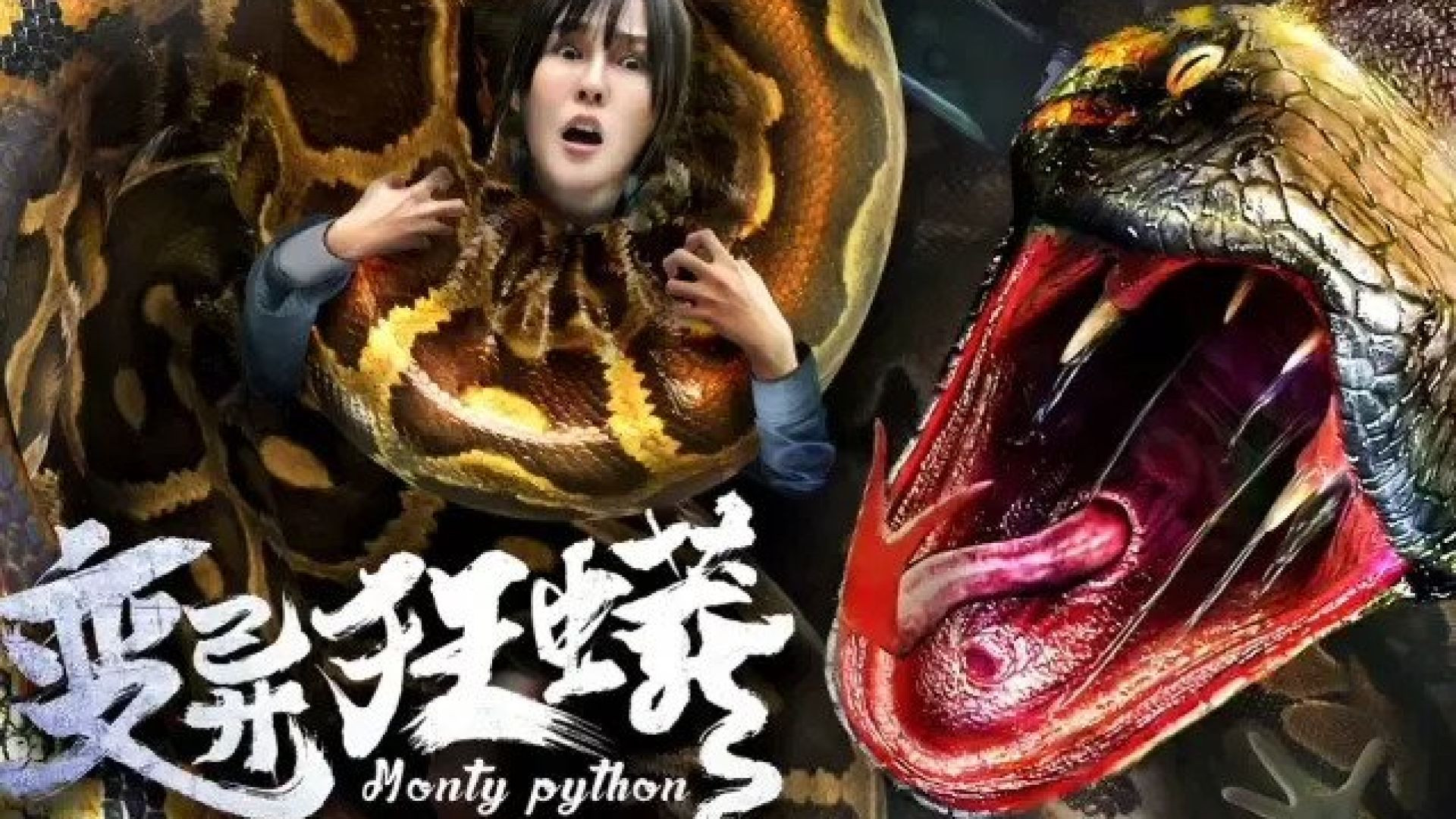 Monty Python (2023) Dual Audio [Hindi-Chinese] WEB-DL 1080p
